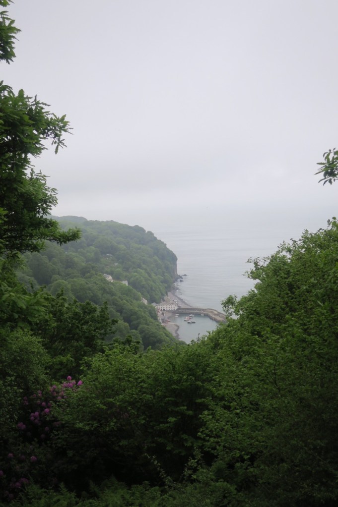 View of Clovelly Harbour