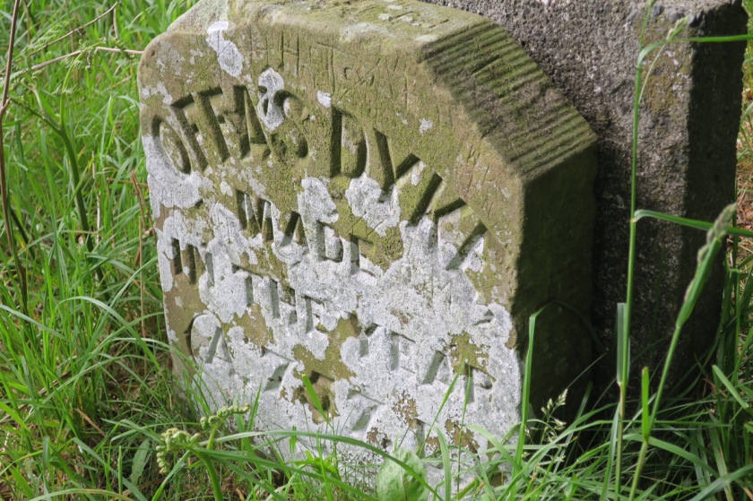 Offa's Dyke marker stone