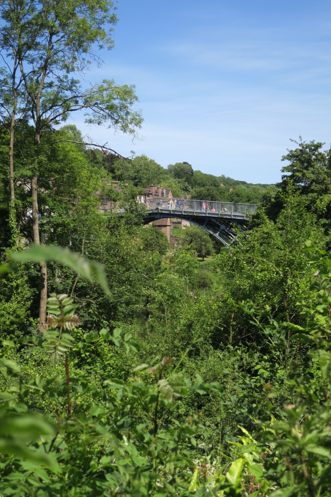 A glimpse of the iron bridge through trees