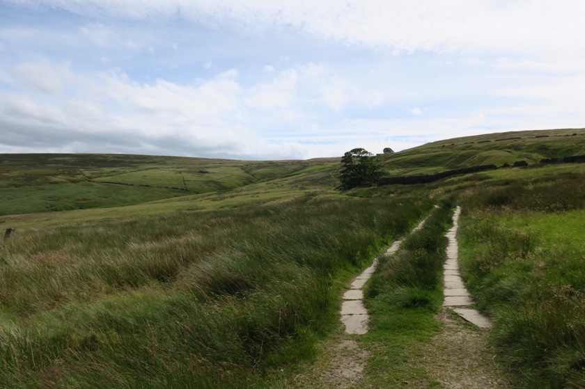 Not a vehicle track...it's Pennine Way dual carriageway! Top Withins is on the horizon.