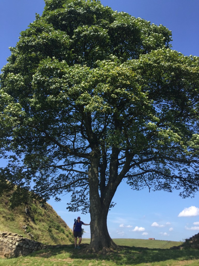 Me at Sycamore Gap Me at Sycamore Gap